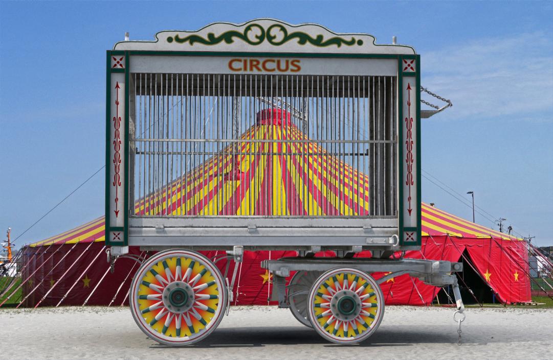 3D model Antique Circus Wagon