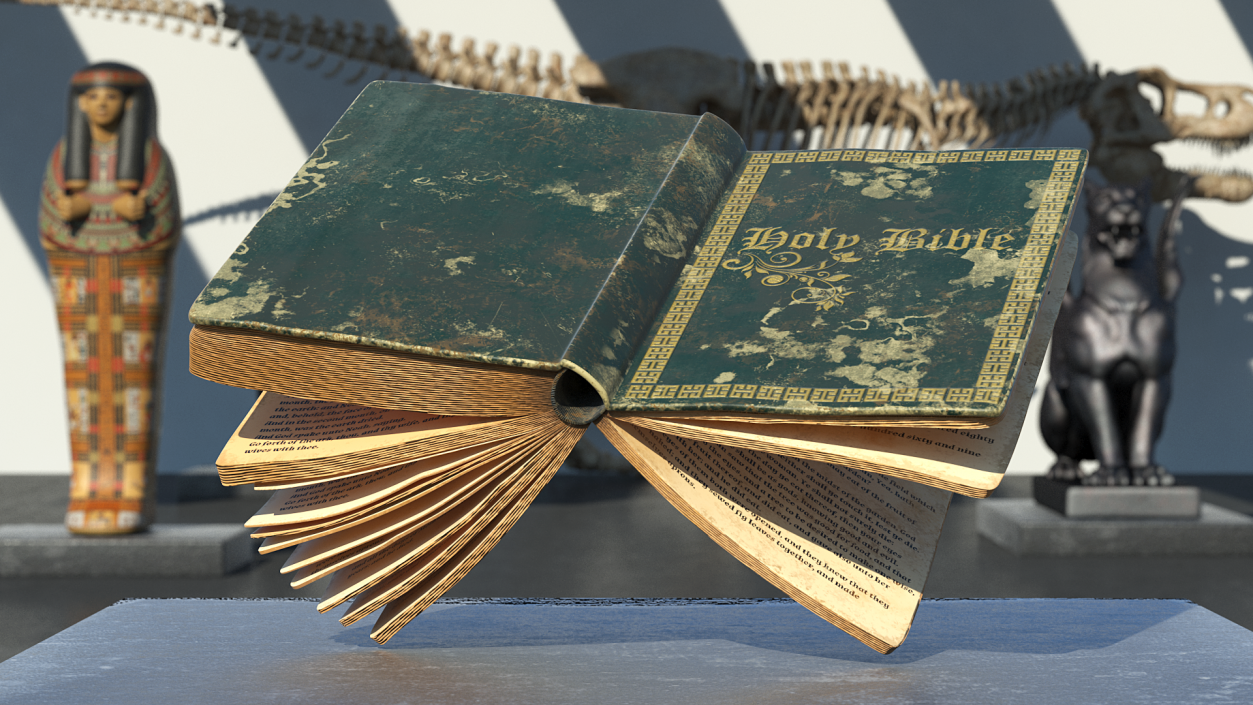 3D model Half Opened Very Old Book