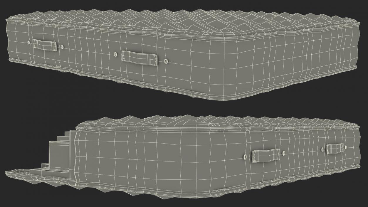 3D Orthopedic Mattress Internal Structure View model