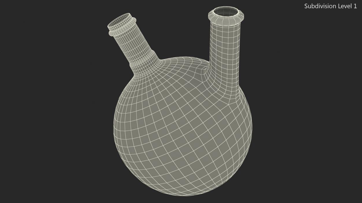 3D model Round Bottom 2-neck Flask