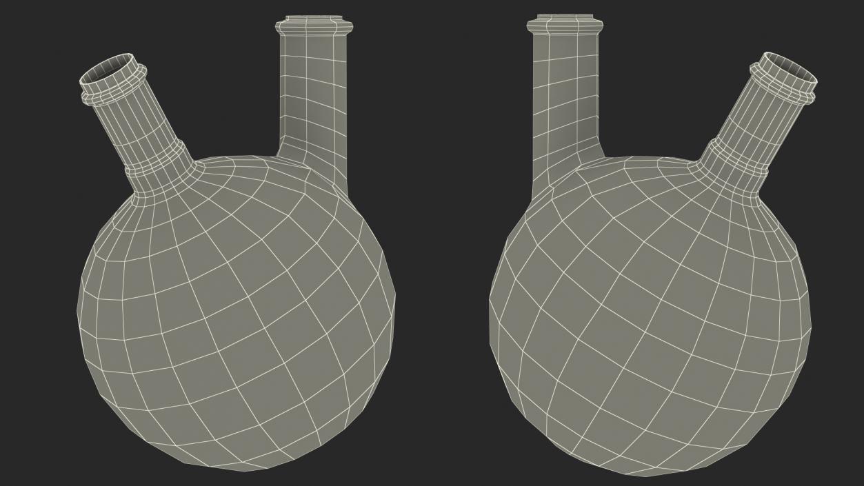 3D model Round Bottom 2-neck Flask