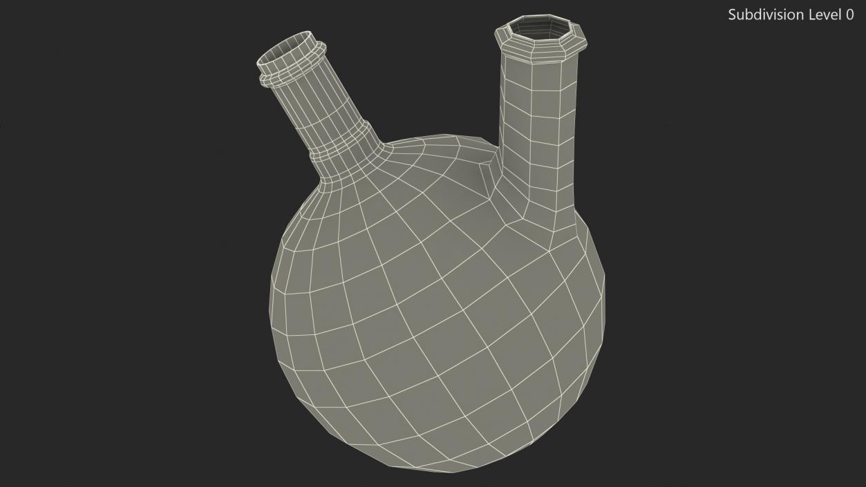 3D model Round Bottom 2-neck Flask