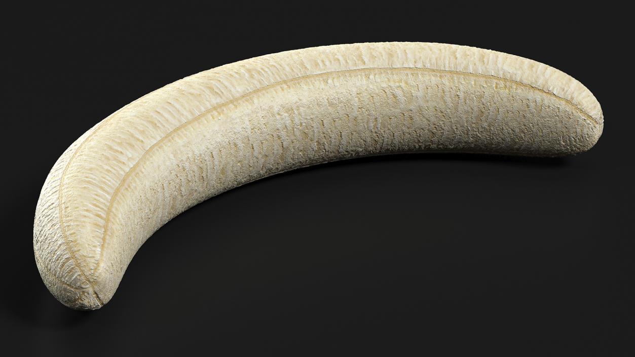 Banana Without Peel 3D model