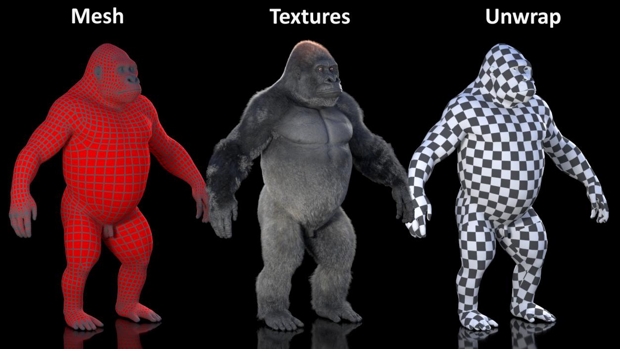 Western Gorilla Base Pose Fur 3D model