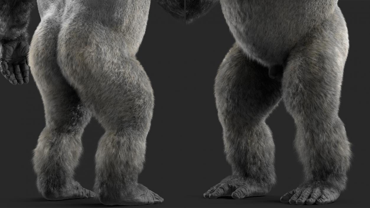 Western Gorilla Base Pose Fur 3D model