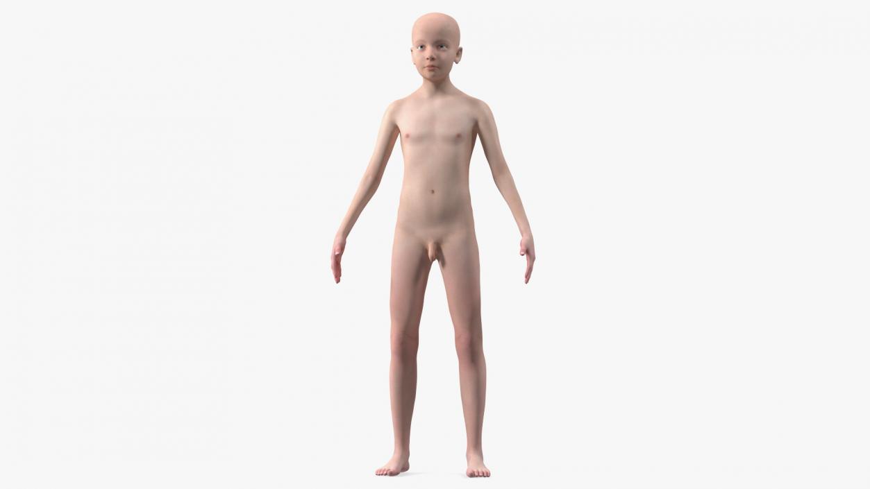 Complete Male and Kid Boy Anatomy Collection 3D model