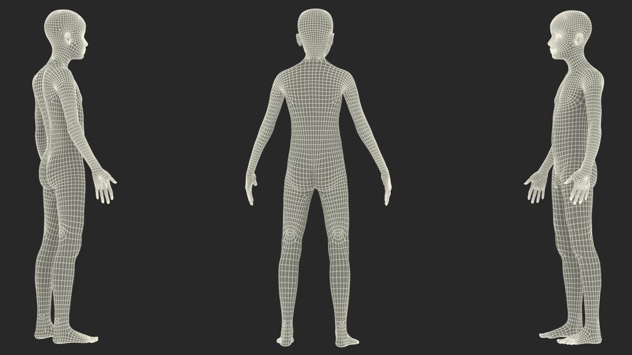 Complete Male and Kid Boy Anatomy Collection 3D model