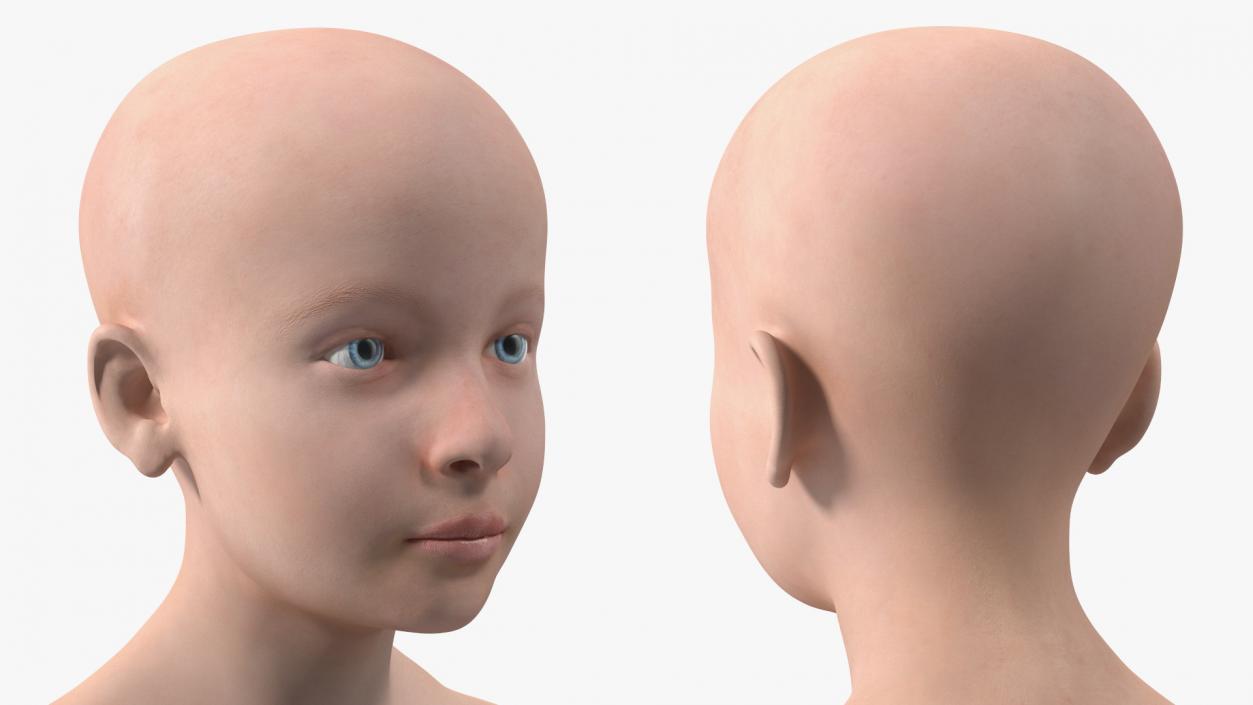 Complete Male and Kid Boy Anatomy Collection 3D model