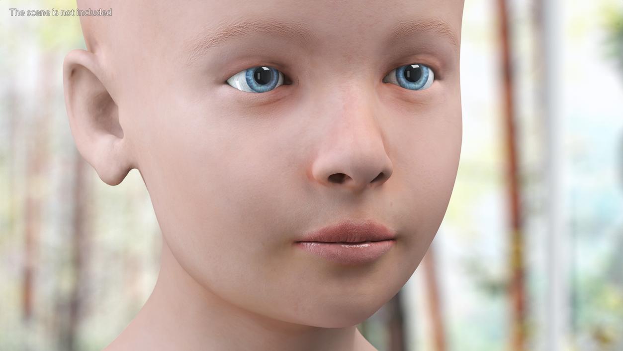 Complete Male and Kid Boy Anatomy Collection 3D model