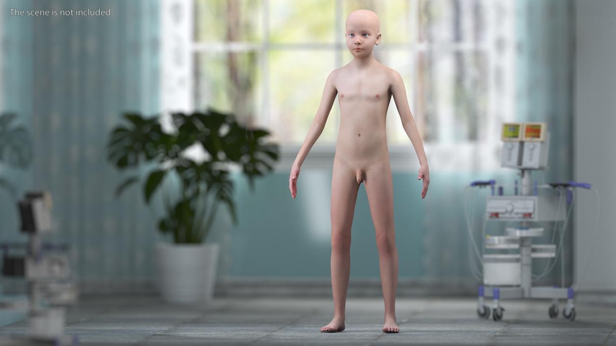 Complete Male and Kid Boy Anatomy Collection 3D model