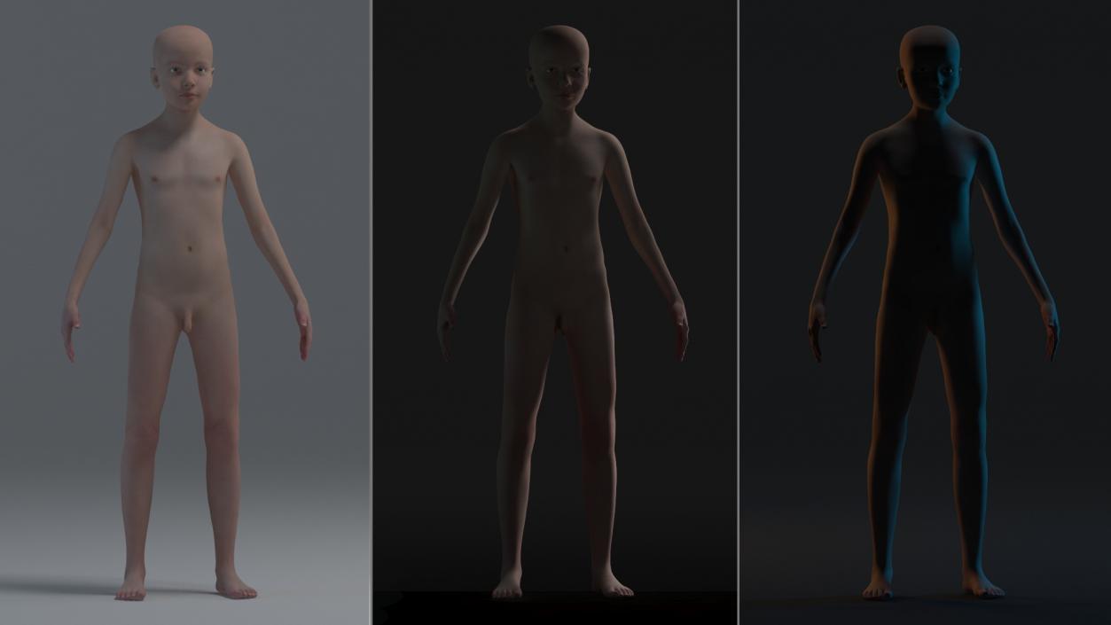 Complete Male and Kid Boy Anatomy Collection 3D model