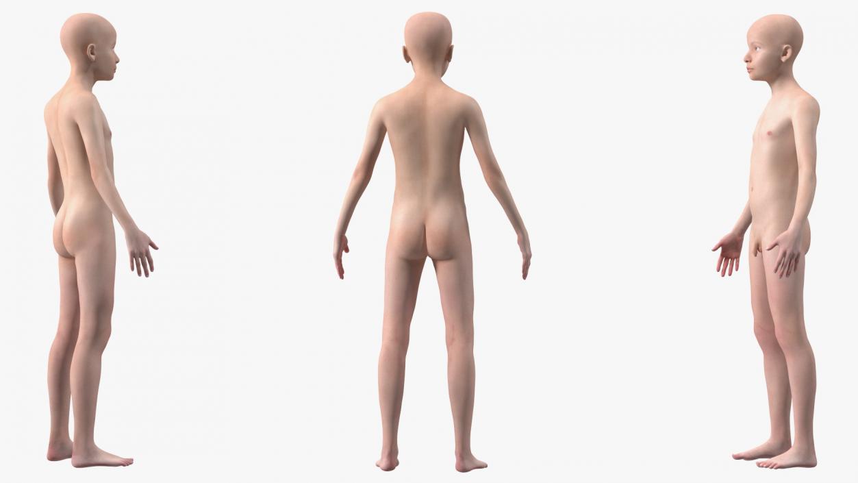 Complete Male and Kid Boy Anatomy Collection 3D model