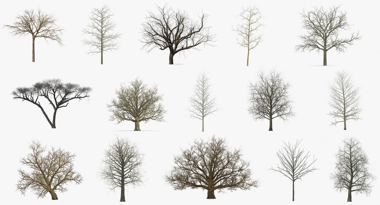 3D model Winter Trees Collection 5