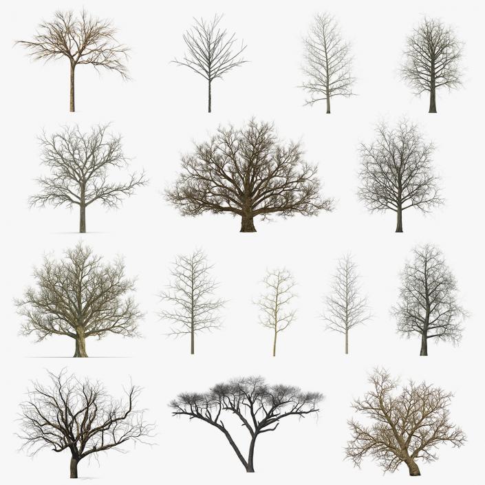 3D model Winter Trees Collection 5