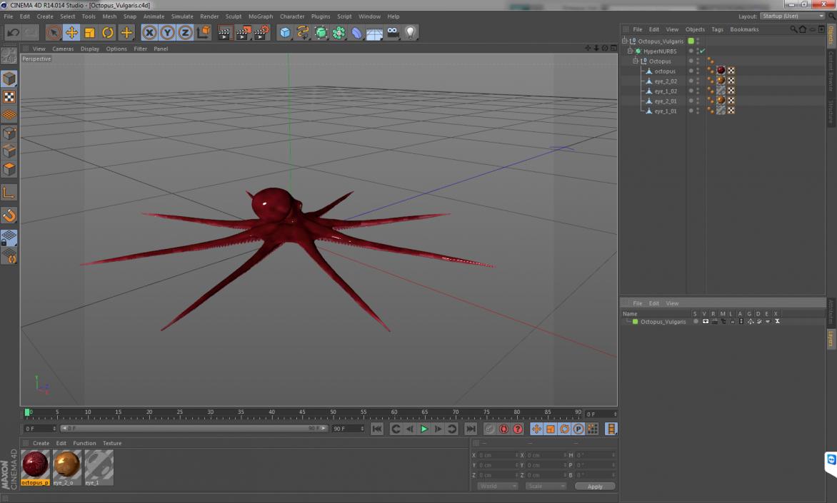 3D Octopus Vulgaris