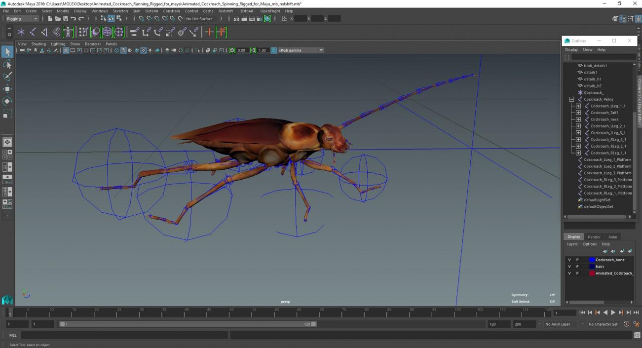 Animated Cockroach Running Rigged for Maya 3D