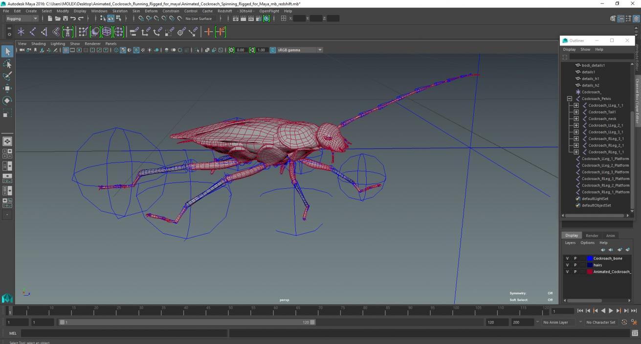 Animated Cockroach Running Rigged for Maya 3D