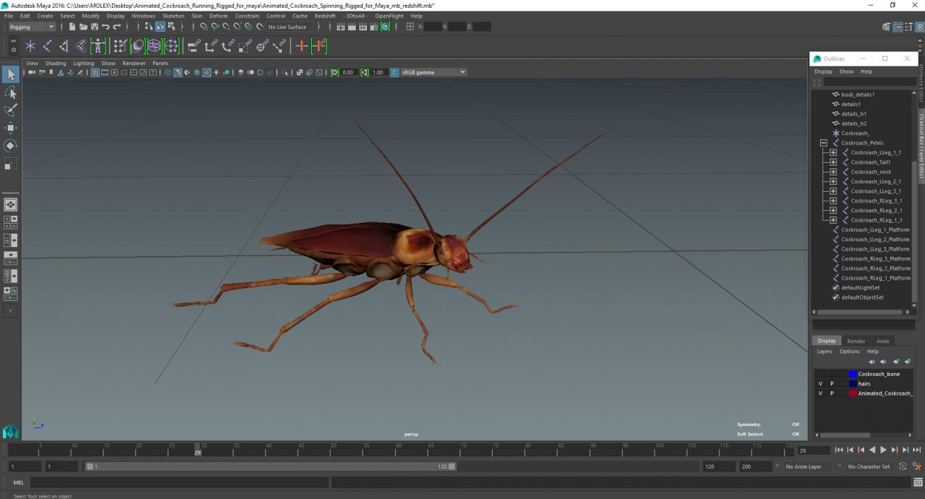 Animated Cockroach Running Rigged for Maya 3D