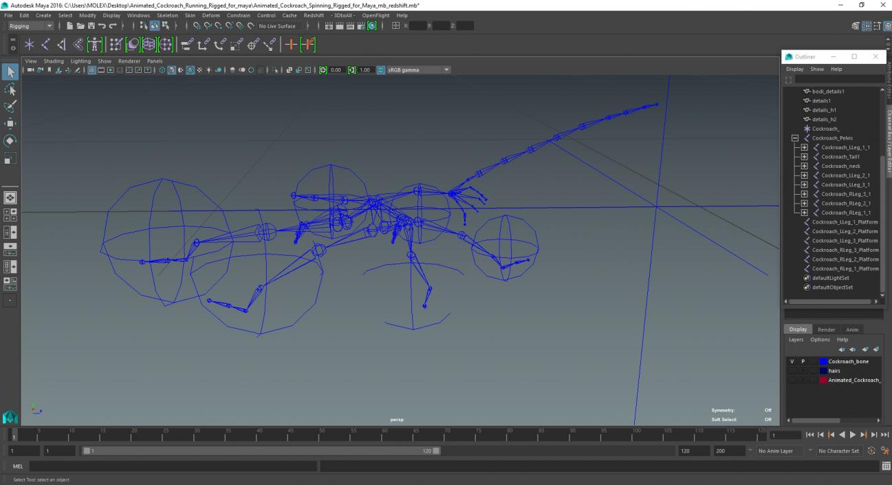 Animated Cockroach Running Rigged for Maya 3D