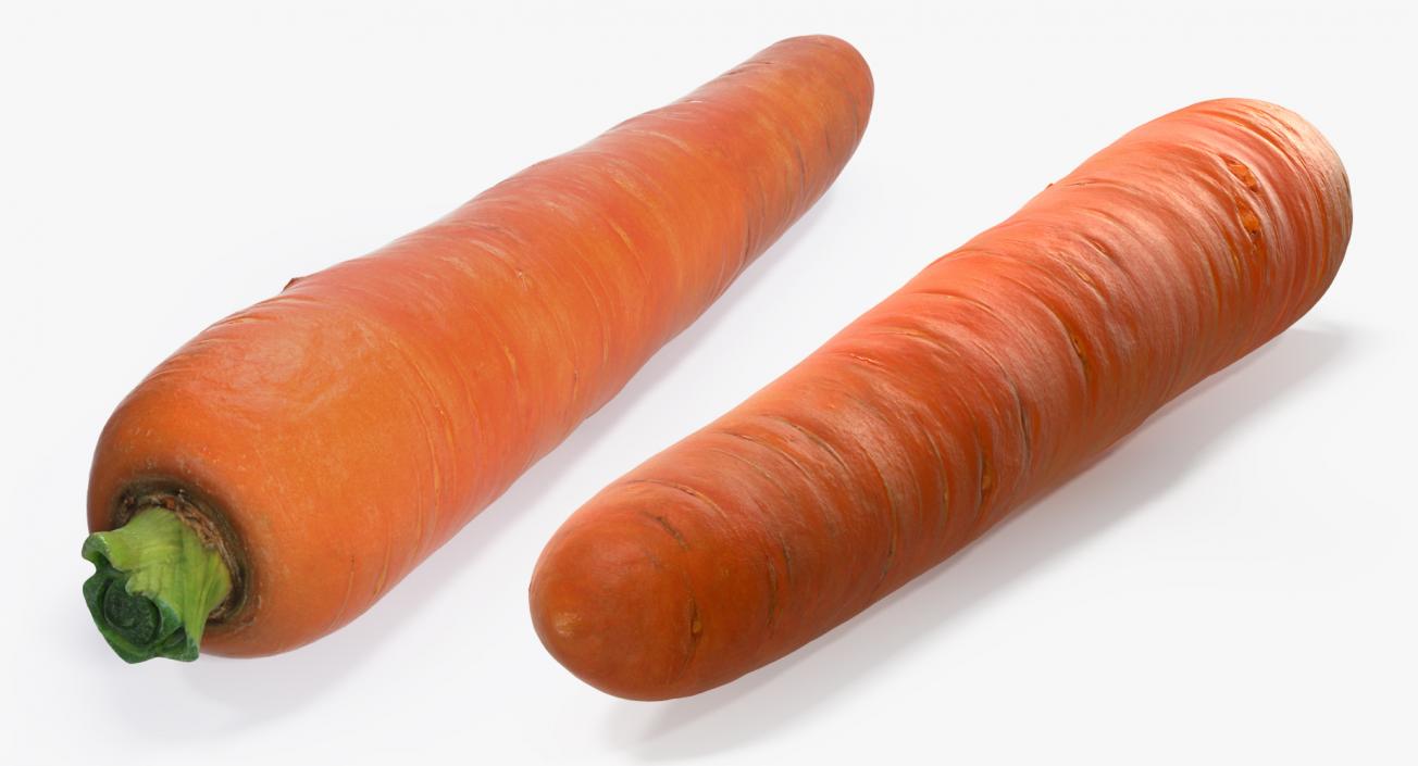 3D model Carrot