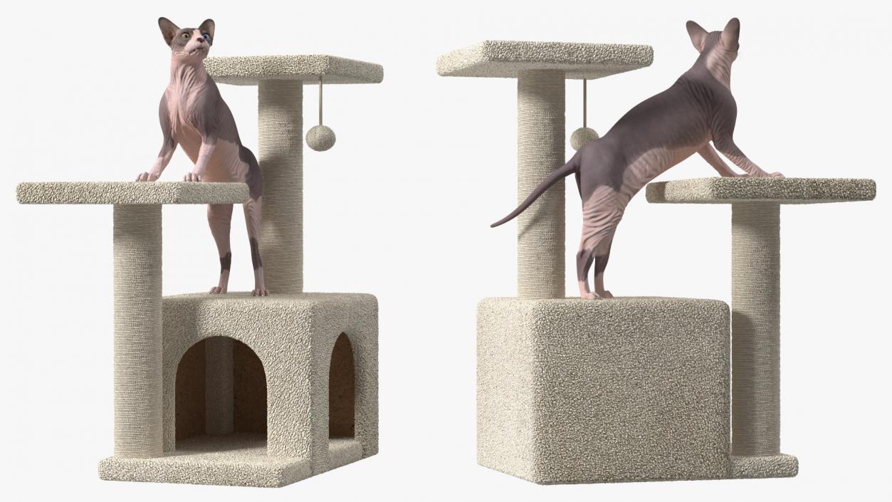 3D model Cat Tree 3-Level with Cat