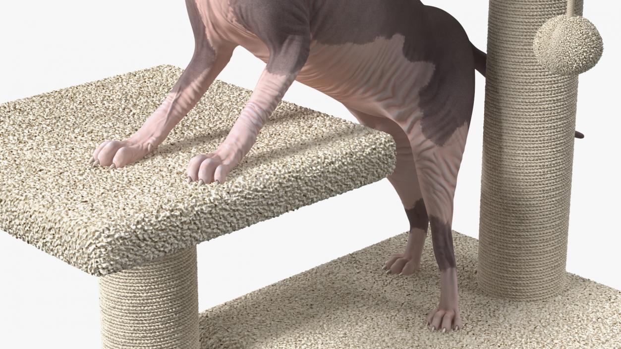 3D model Cat Tree 3-Level with Cat