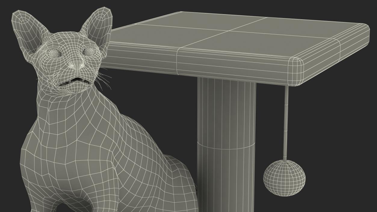 3D model Cat Tree 3-Level with Cat