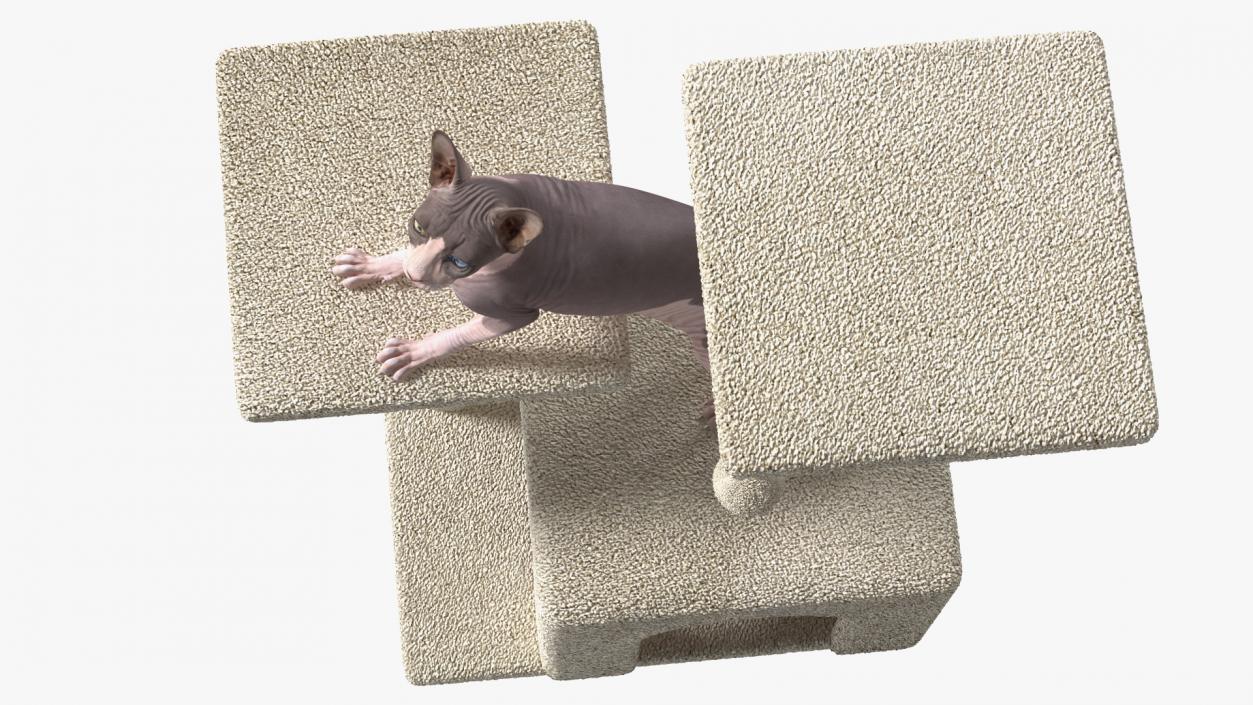 3D model Cat Tree 3-Level with Cat