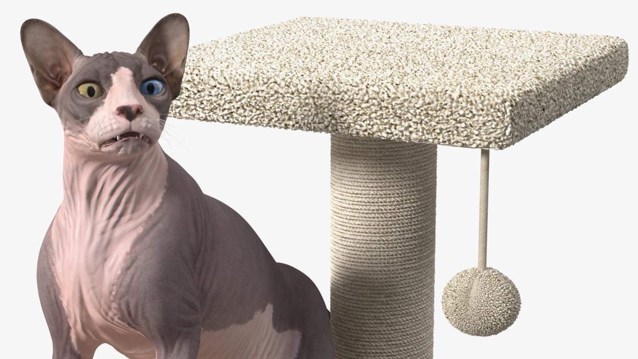 3D model Cat Tree 3-Level with Cat