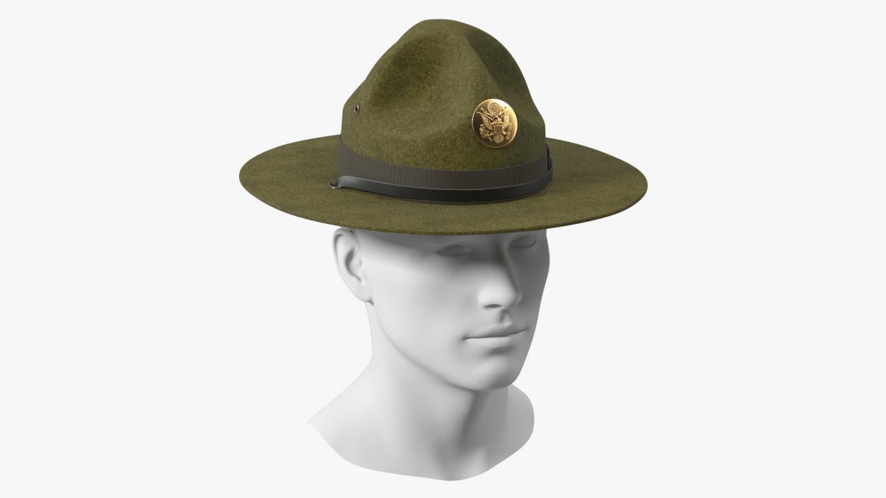 Campaign Hat with Cockade Green on Mannequin 3D model