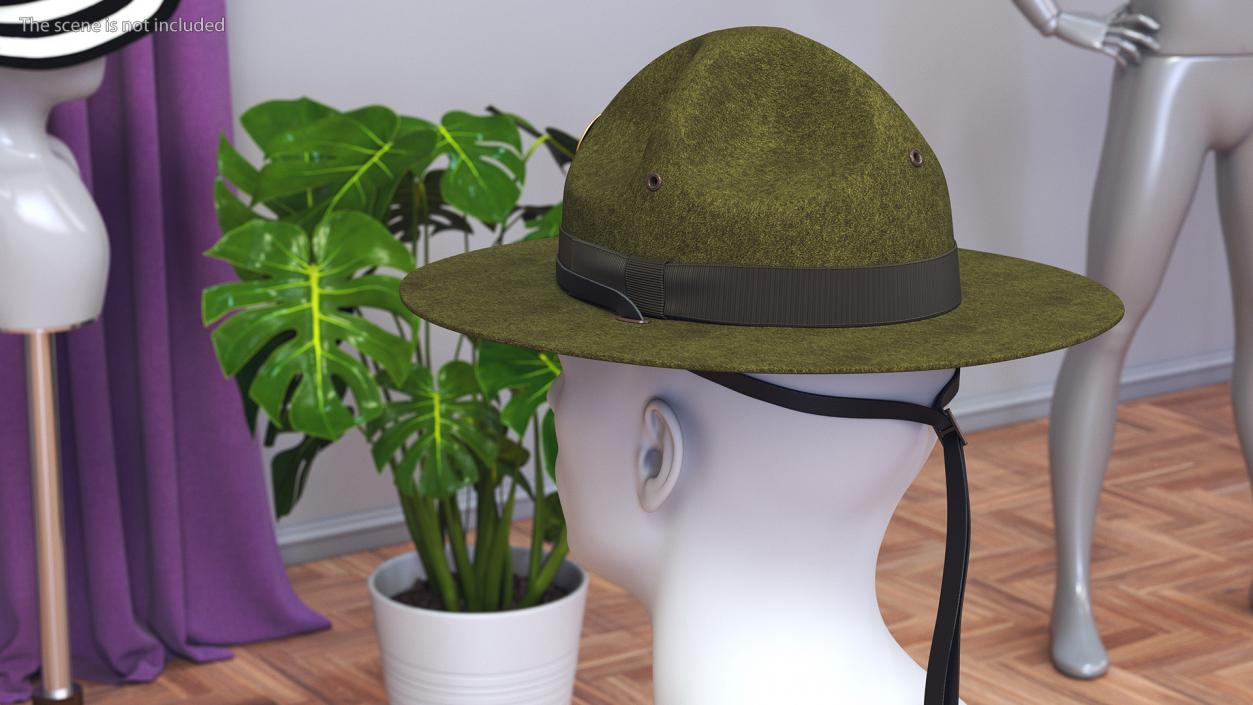 Campaign Hat with Cockade Green on Mannequin 3D model