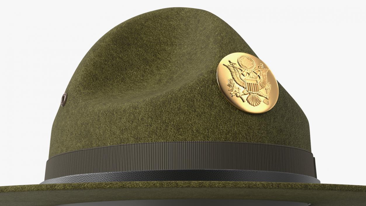 Campaign Hat with Cockade Green on Mannequin 3D model