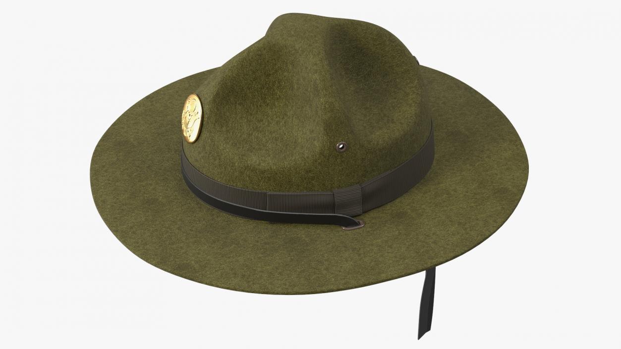 Campaign Hat with Cockade Green on Mannequin 3D model