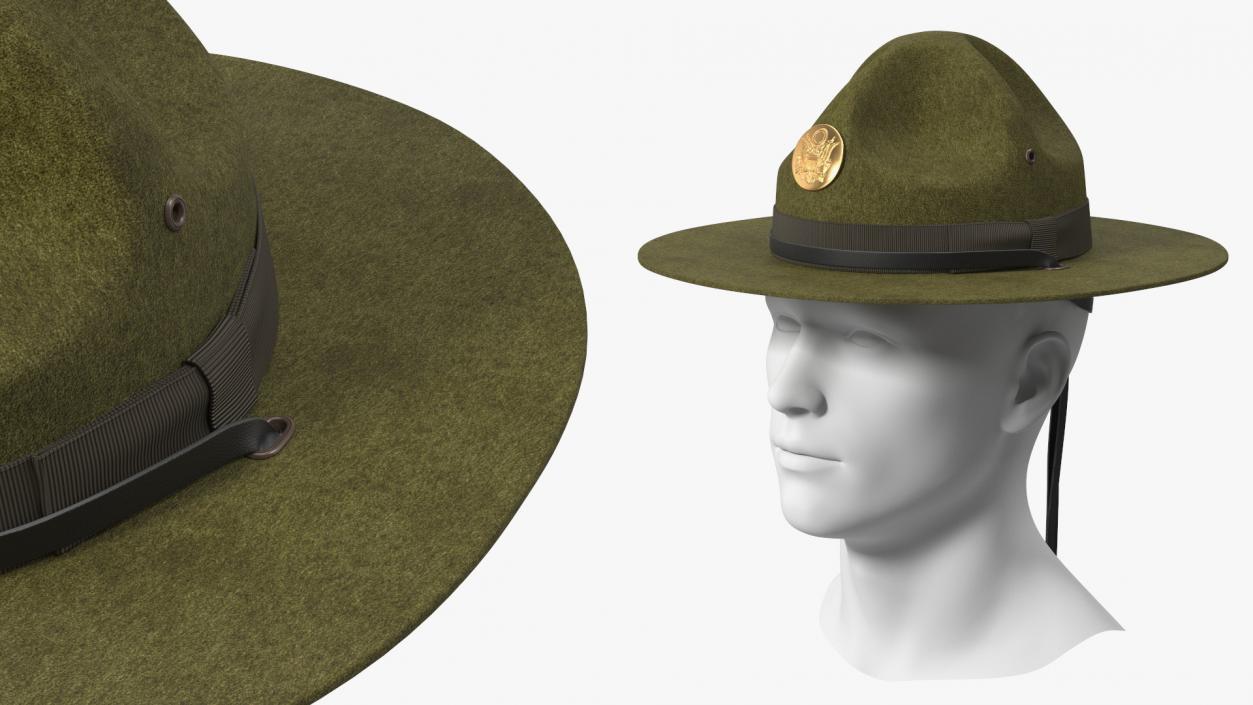 Campaign Hat with Cockade Green on Mannequin 3D model