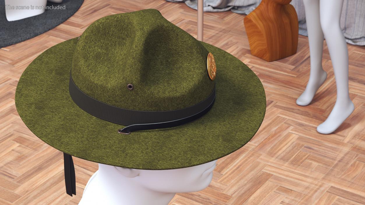 Campaign Hat with Cockade Green on Mannequin 3D model