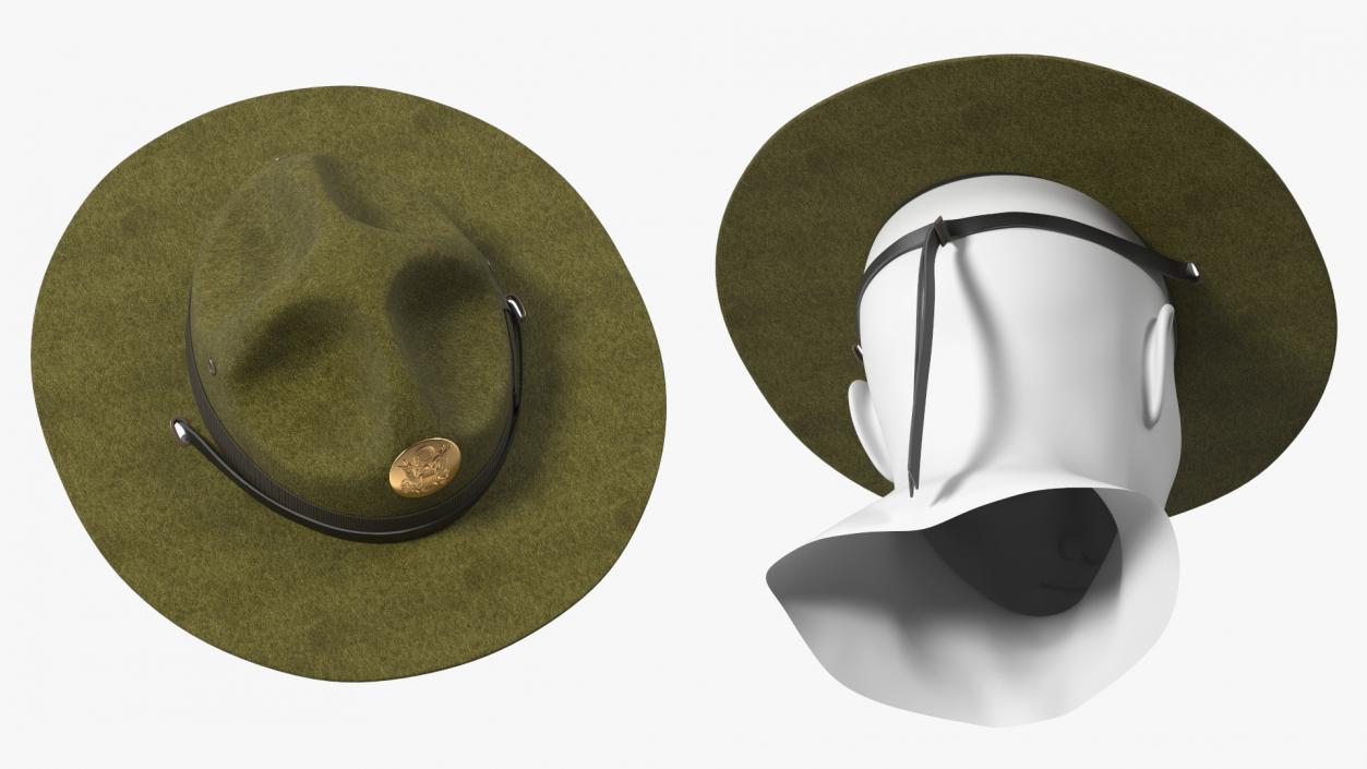 Campaign Hat with Cockade Green on Mannequin 3D model