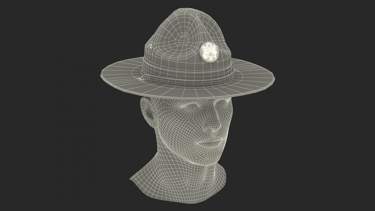 Campaign Hat with Cockade Green on Mannequin 3D model