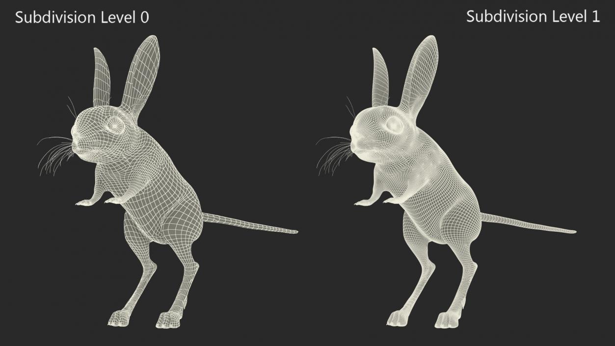 Allactaga Tetradactyla 3D