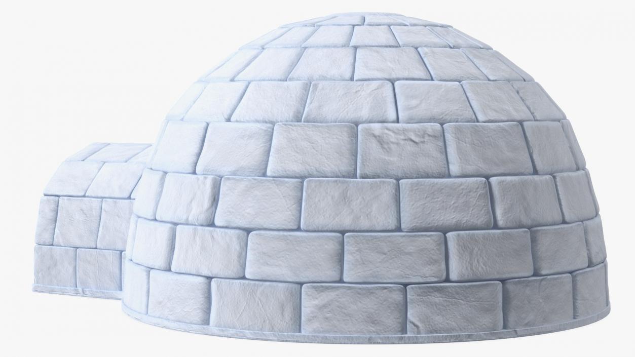 Igloo 3D model