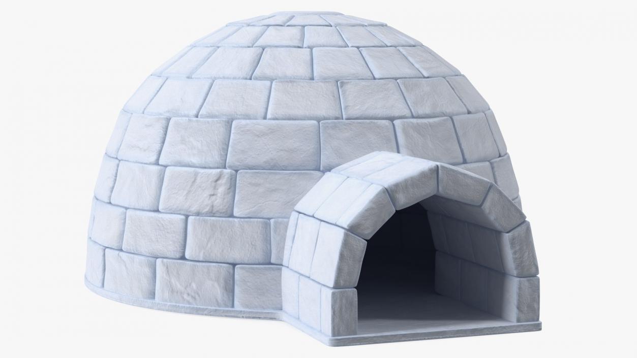 Igloo 3D model