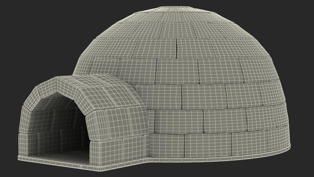 Igloo 3D model