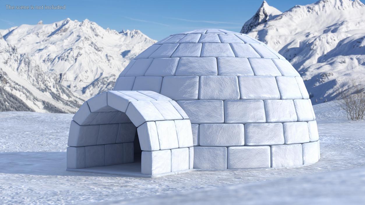 Igloo 3D model