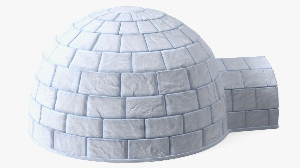 Igloo 3D model