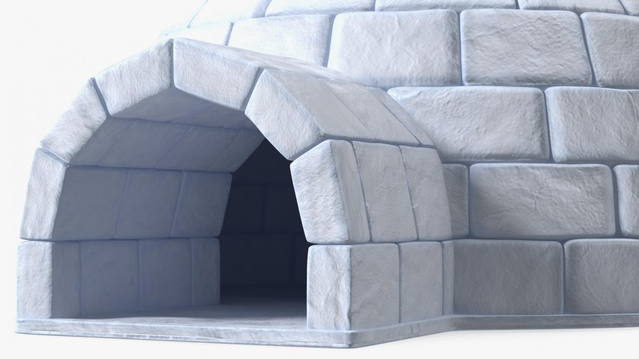 Igloo 3D model