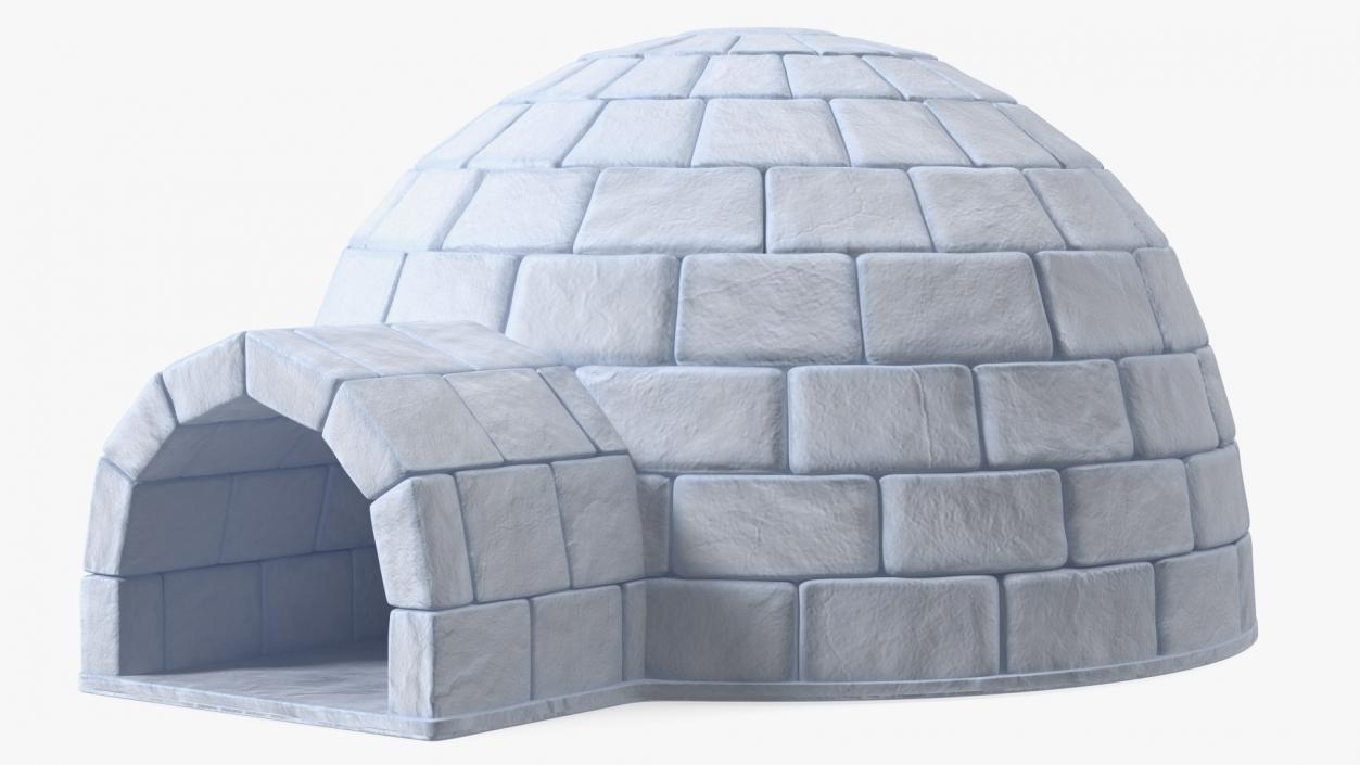 Igloo 3D model