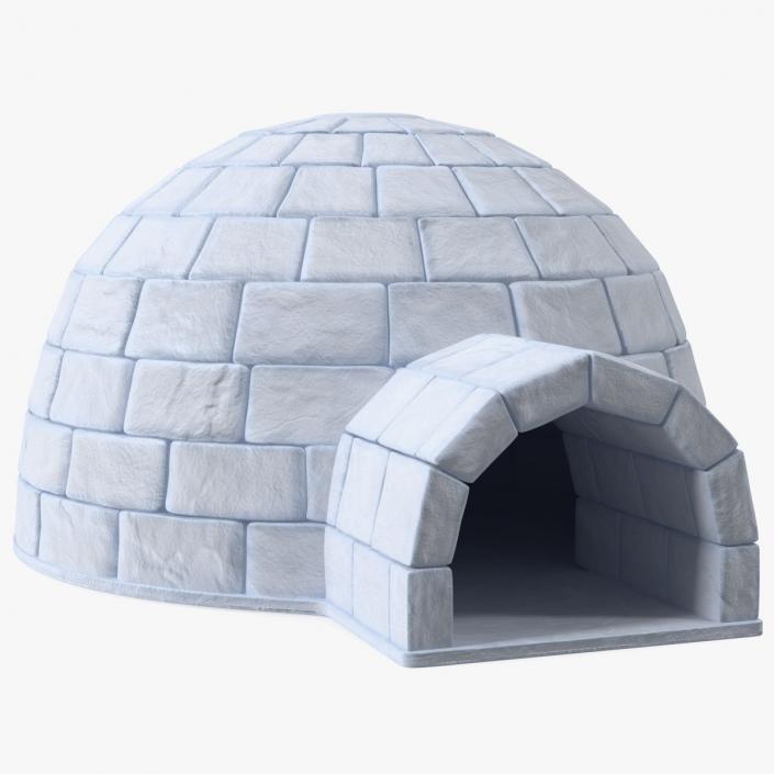 Igloo 3D model