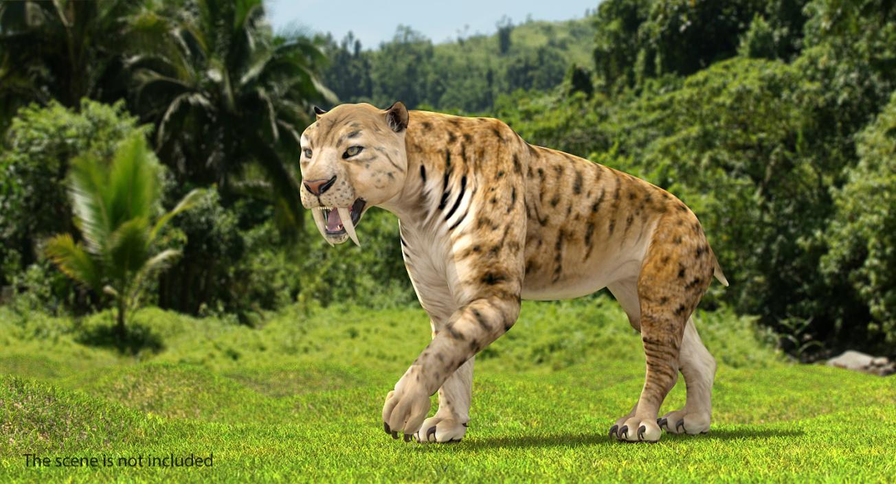 3D model Saber Tooth Tiger Walking Pose