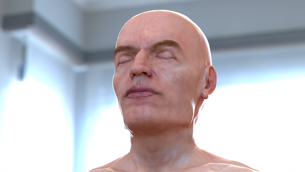 3D Male Full Body Anatomy and Skin