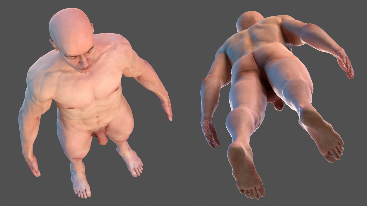 3D Male Full Body Anatomy and Skin