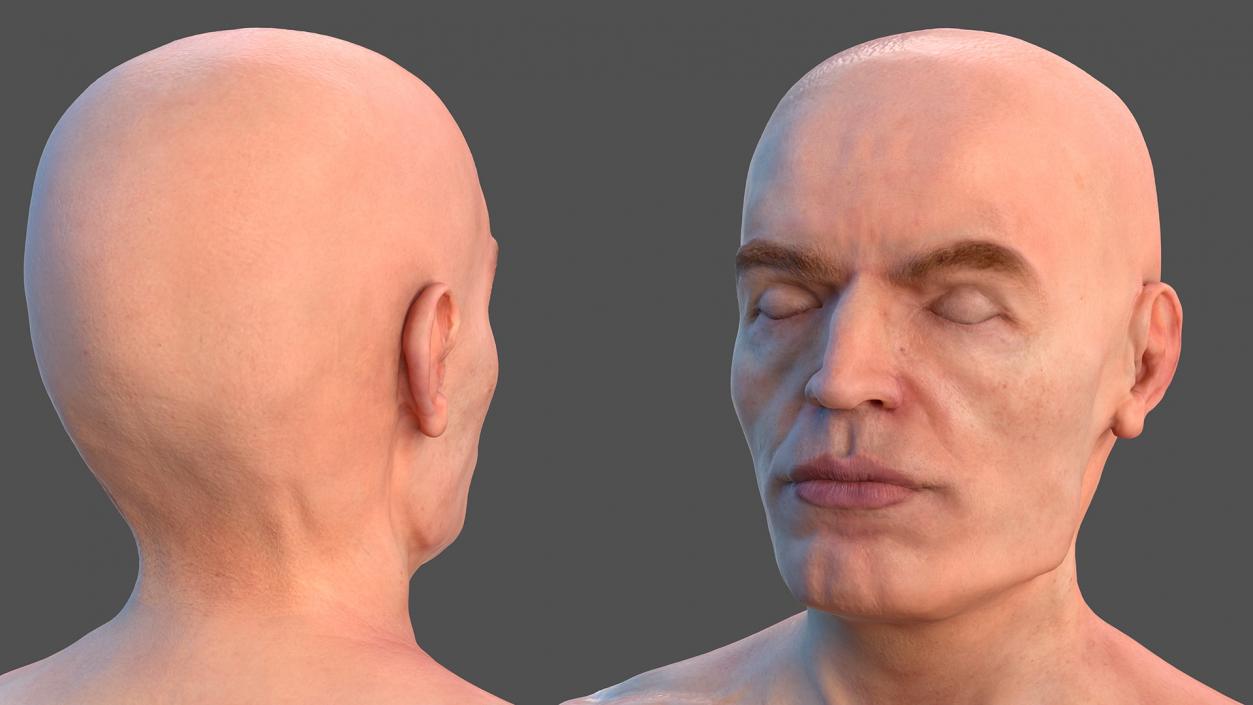 3D Male Full Body Anatomy and Skin